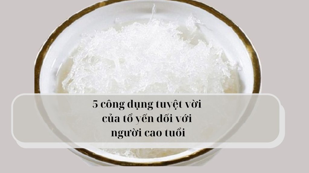 công dụng của tổ yến với người cao tuổi