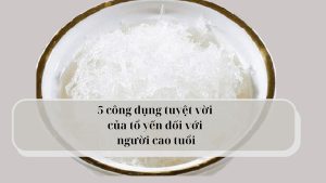 công dụng của tổ yến với người cao tuổi