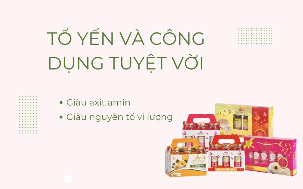Tổ yến giàu dưỡng chất